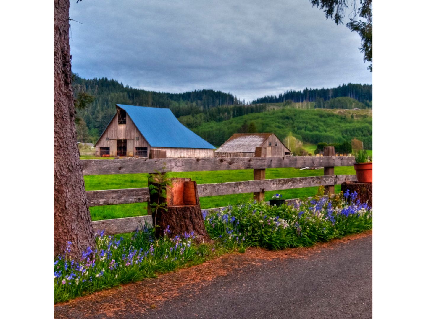 The Miller Tree Inn, Forks, Washington Bed and Breakfasts Inns