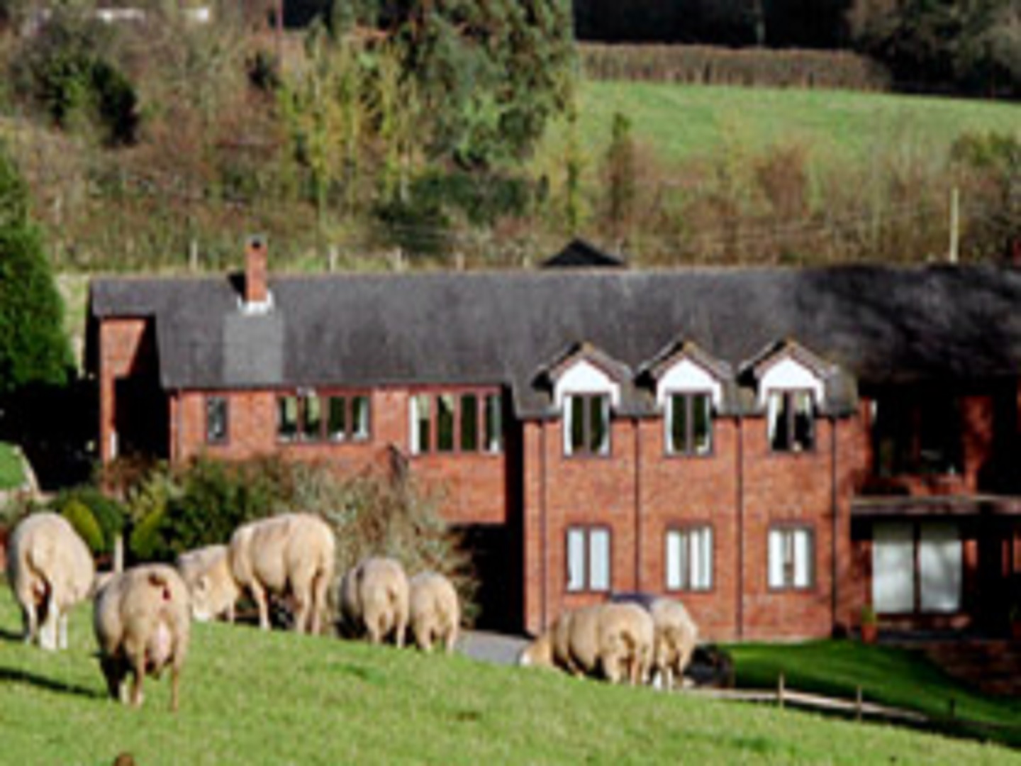 Lower Thornton Farm, Kenn, England Bed and Breakfasts Inns