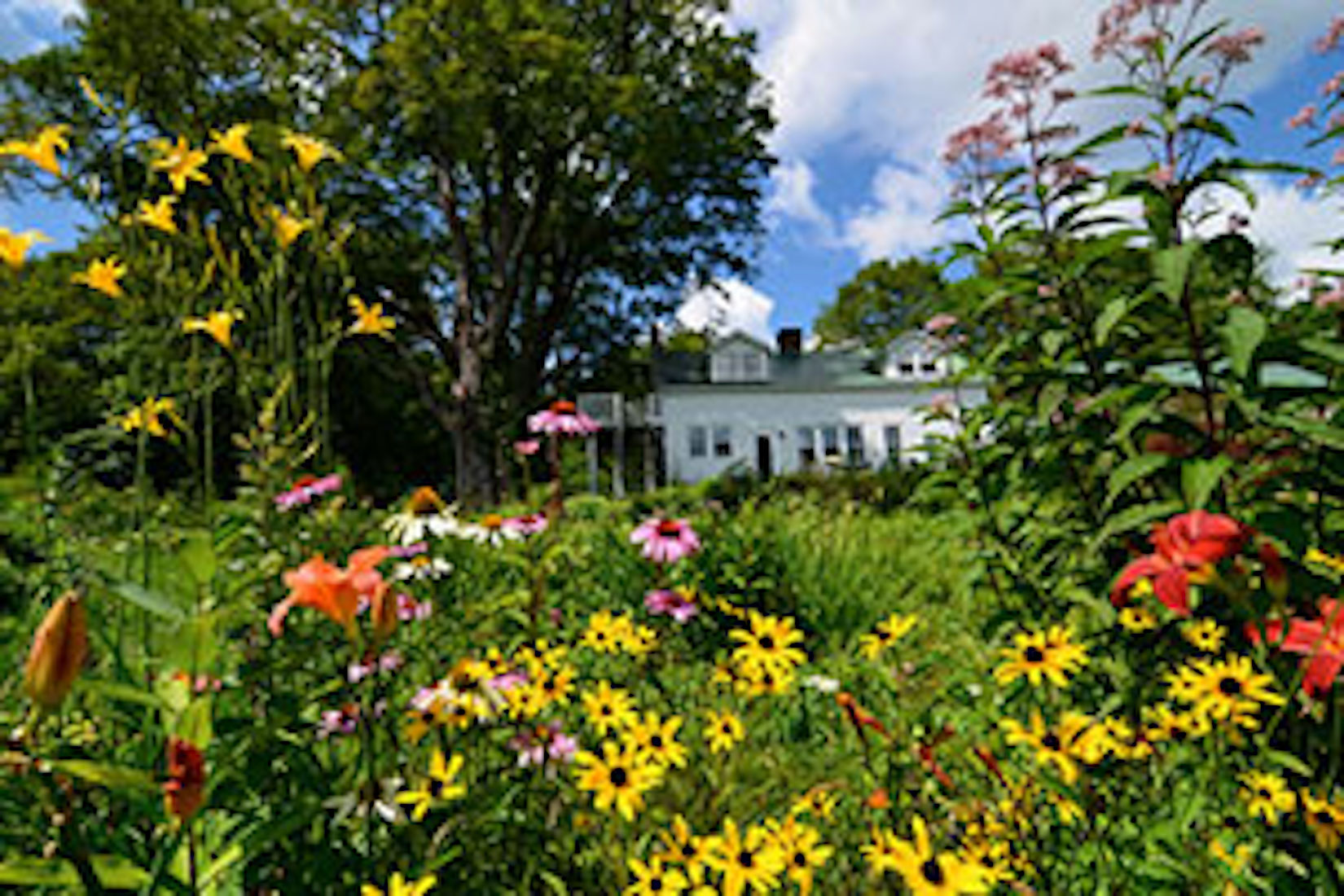 Flower Hill Farm Bed & Breakfast Retreat, Williamsburg, Massachusetts